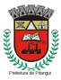 Brasão de Pitangui