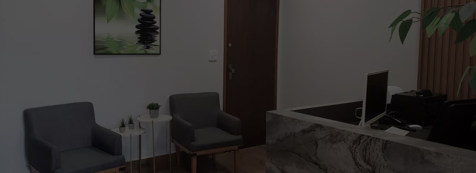 Primeiro Slide